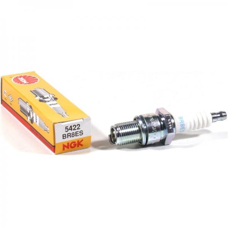 Candela NGK BR8ES Nottolino Svitabile