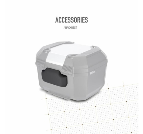 Bauletto Shad  TR41 TERRA 41LT Alluminio