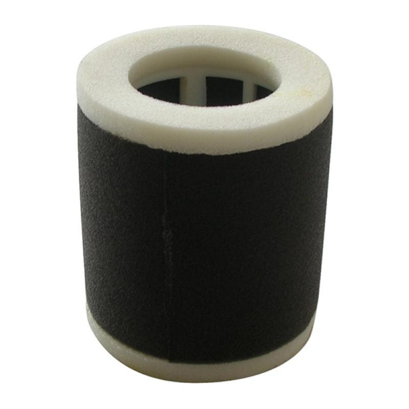 Filtro Aria Miw Kawasaki En500A1