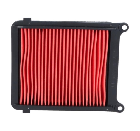 Filtro Aria Miw Crf 1100 Africatwin