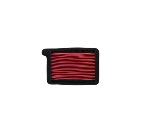 Filtro Aria Miw Triumph 660 Trident (21/22) - 660 Tiger Sport