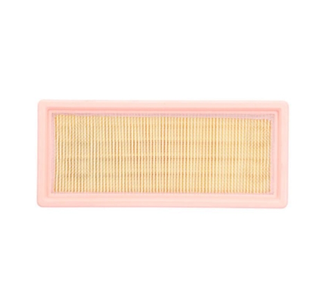 Filtro Aria Miw Triumph Daytona 595/955I-Tiger885/955