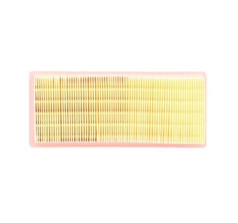 Filtro Aria Miw Triumph Daytona 595/955I-Tiger885/955