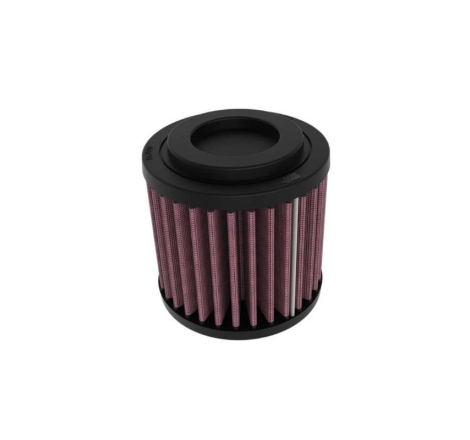 Filtro Aria K&N Ro-3522