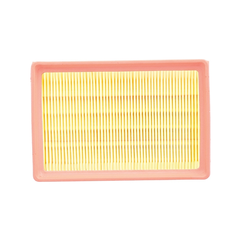 Filtro Aria Miw Bmw 1170 R Nine T