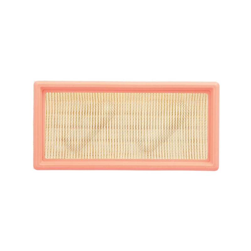 Filtro Aria Miw Triumph 1215 Trophy / Se