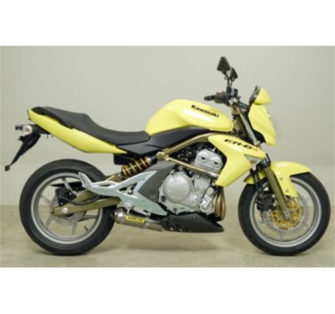 Marmitta Alluminio Race-Tech Kawasaki Er-6N'05-06 / Er-6F'05-06 / Versys 650'06 Ric.Arrow + Ric.Originale Omologata