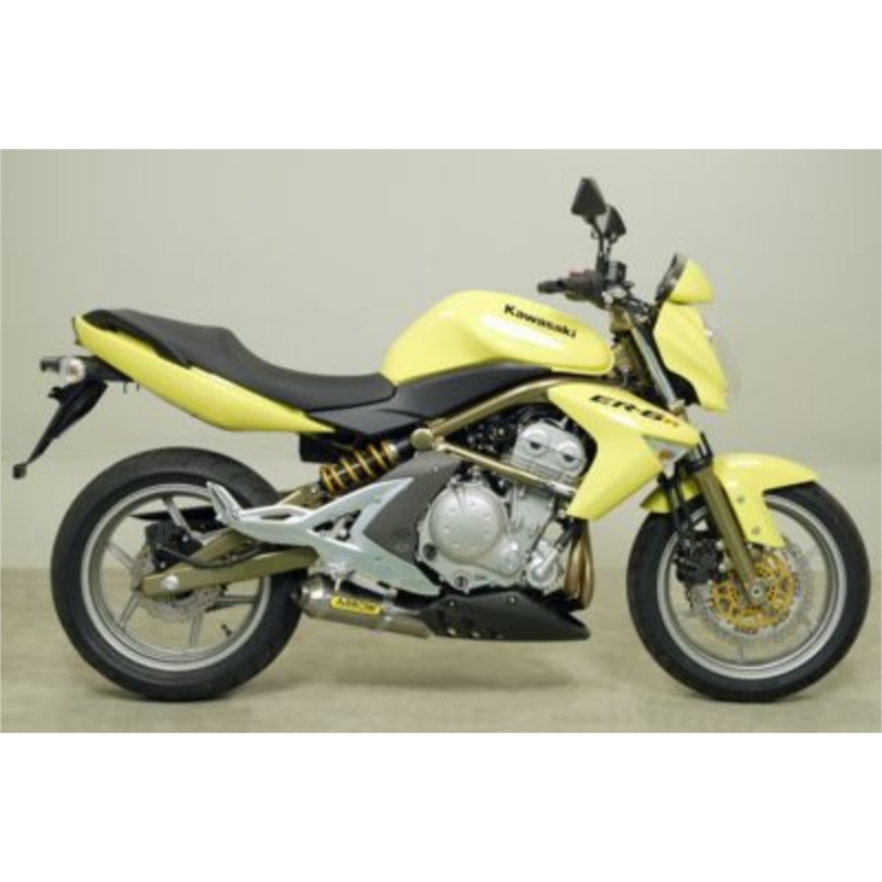 Marmitta Alluminio Race-Tech Kawasaki Er-6N'05-06 / Er-6F'05-06 / Versys 650'06 Ric.Arrow + Ric.Originale Omologata