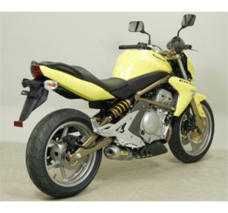Marmitta Alluminio Race-Tech Kawasaki Er-6N'05-06 / Er-6F'05-06 / Versys 650'06 Ric.Arrow + Ric.Originale Omologata
