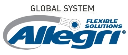 GLOBAL SYSTEM